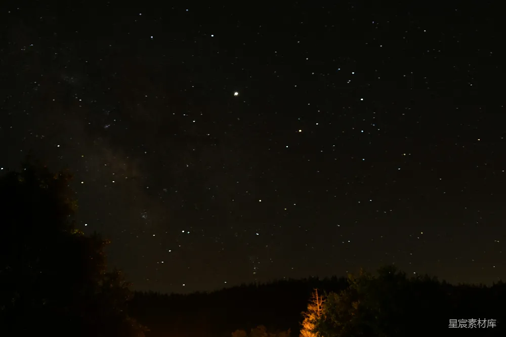 高清摄影 星空 宁静 自然 森林 夜景 夜空下的森林