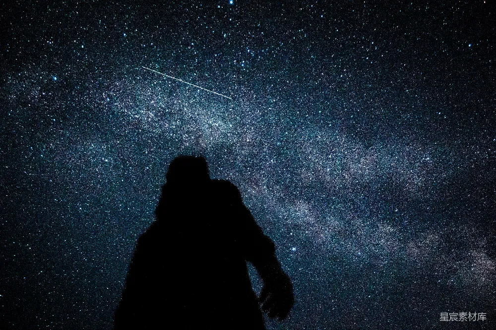 高清摄影 星空 剪影 爱情 浪漫 夜景 星河下的剪影