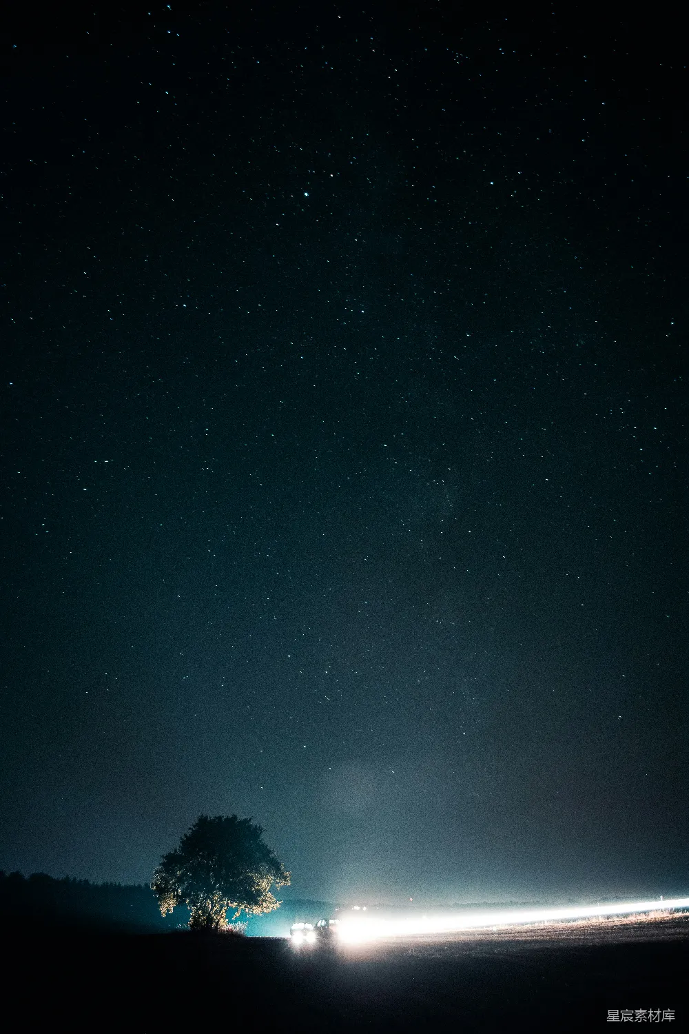 高清摄影 夜景 星河 孤独 宁静 自然 夜空下的孤独树