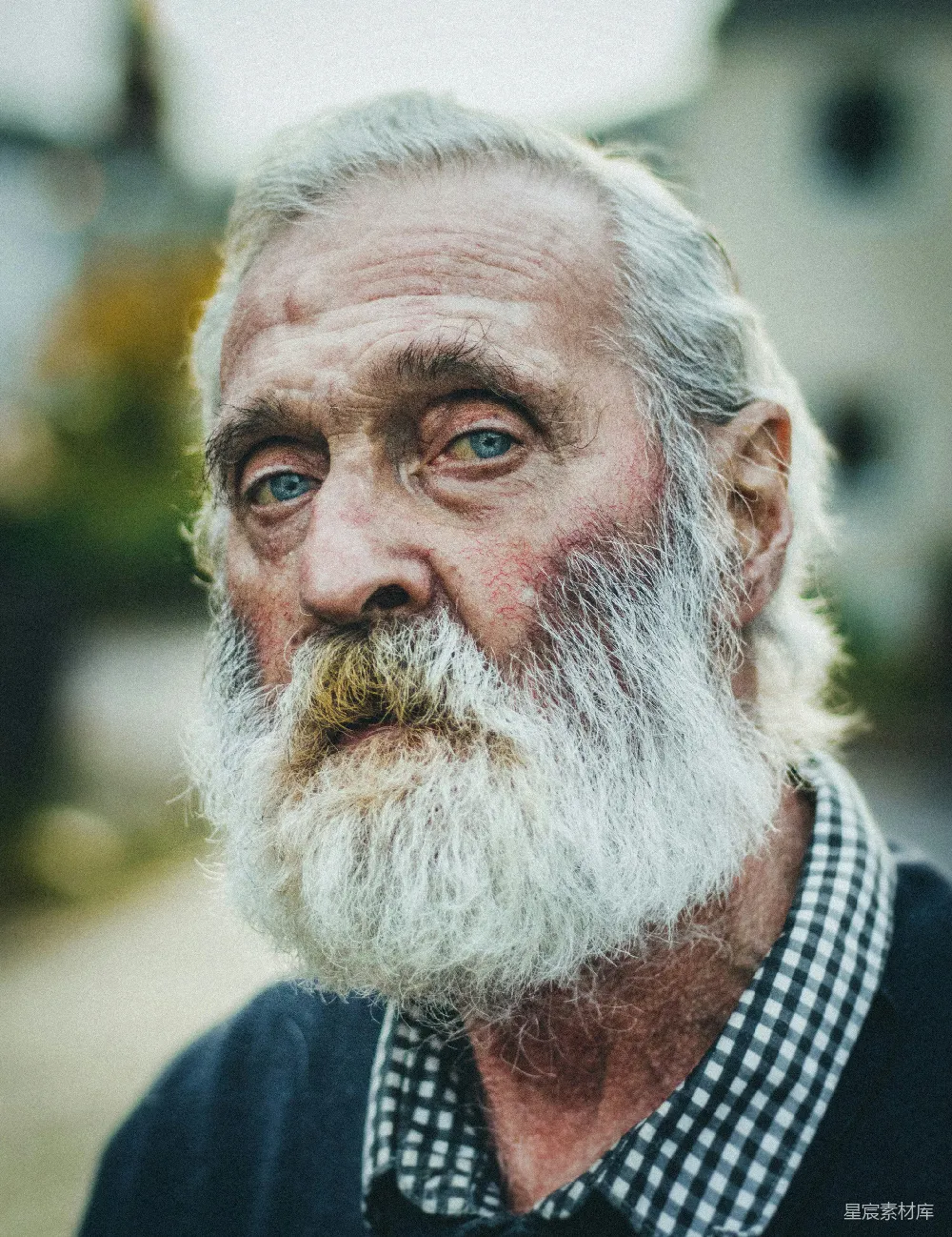 高清摄影 肖像照 老年 智慧 自然 人物 白发蓝眼的智者