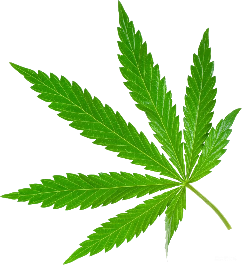 元素素材 元素 大麻