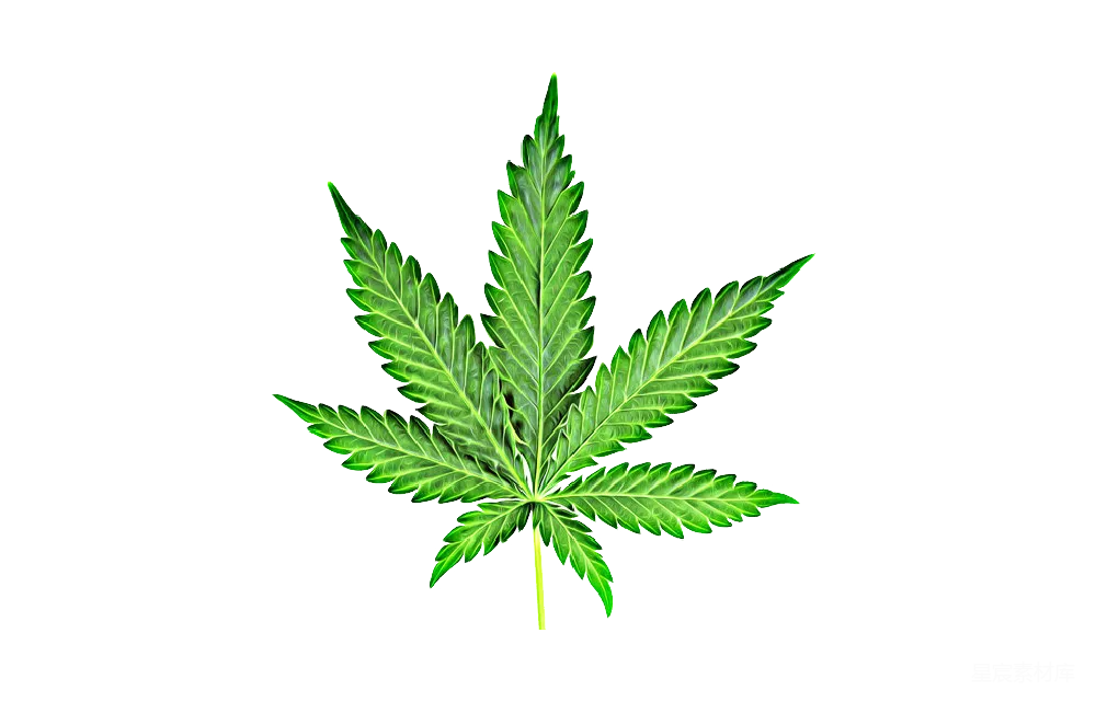 元素素材 元素 大麻
