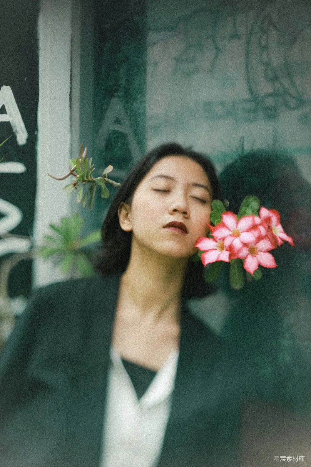 高清摄影 花香 静谧 女性 窗户 自然 窗前的花香