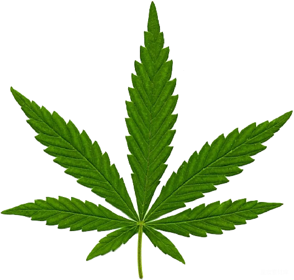 元素素材 元素 大麻