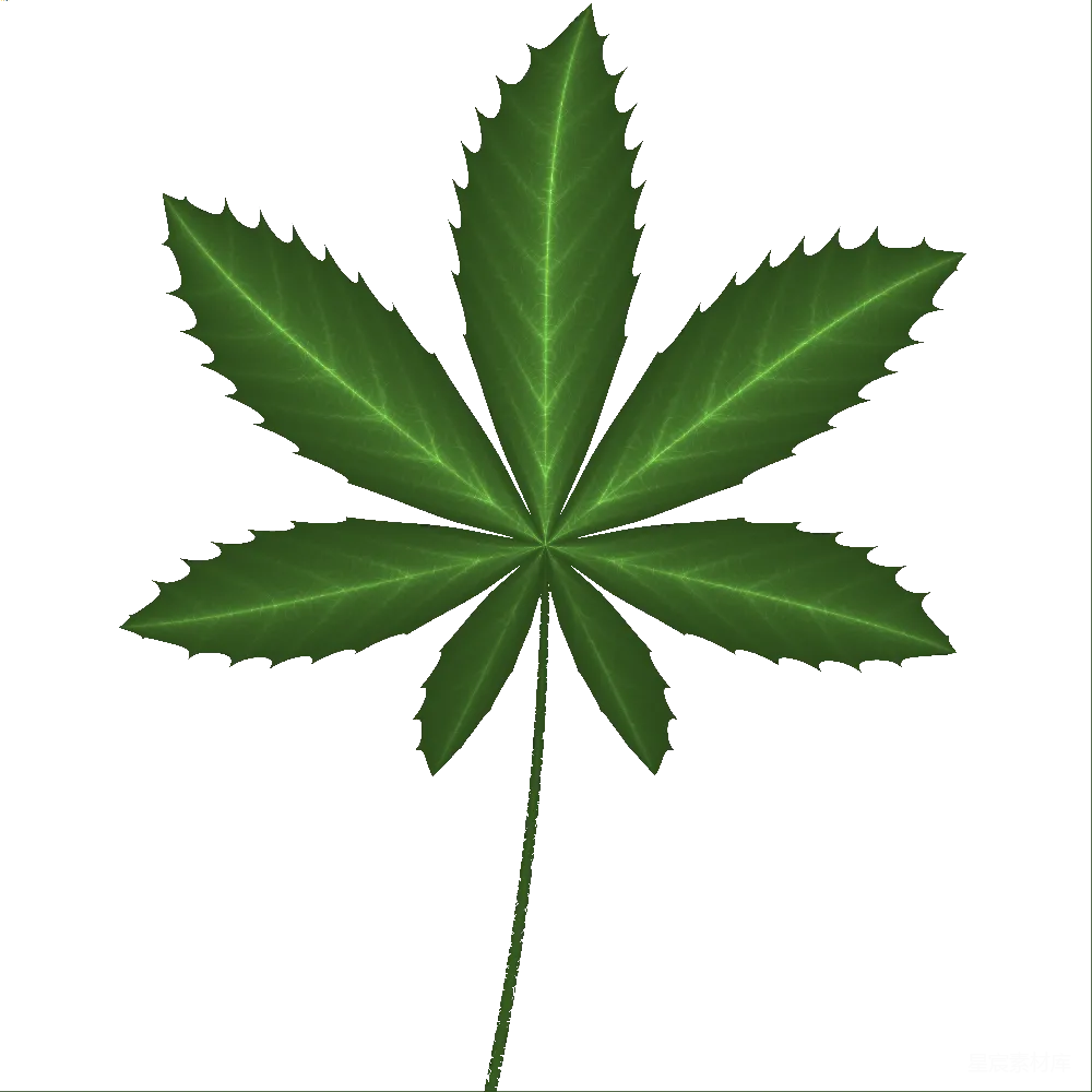 元素素材 大麻