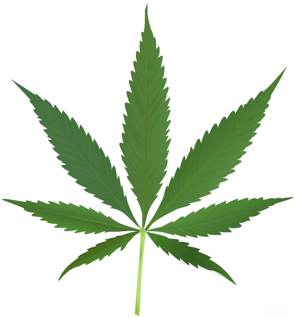 元素素材 大麻