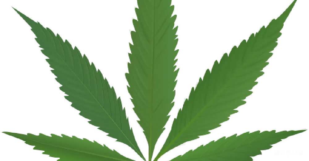 元素素材 大麻