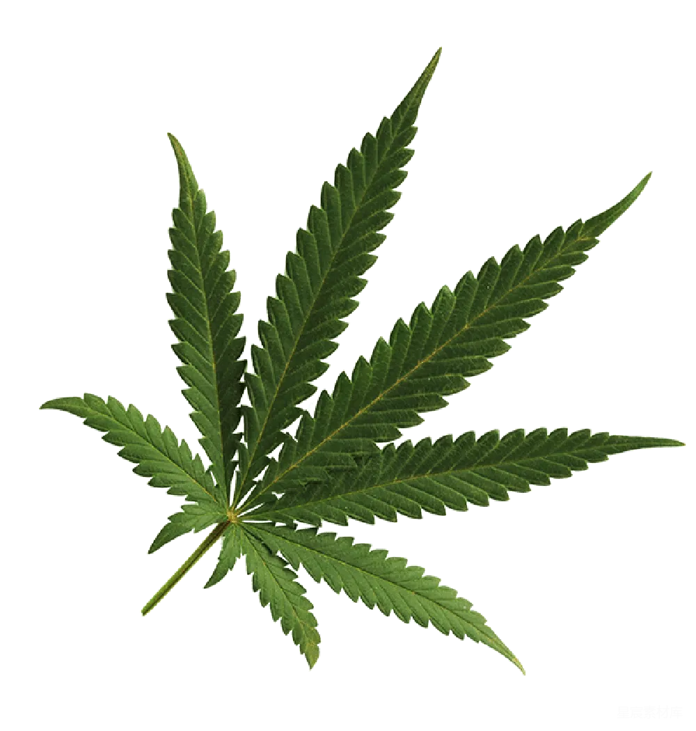 元素素材 元素 大麻