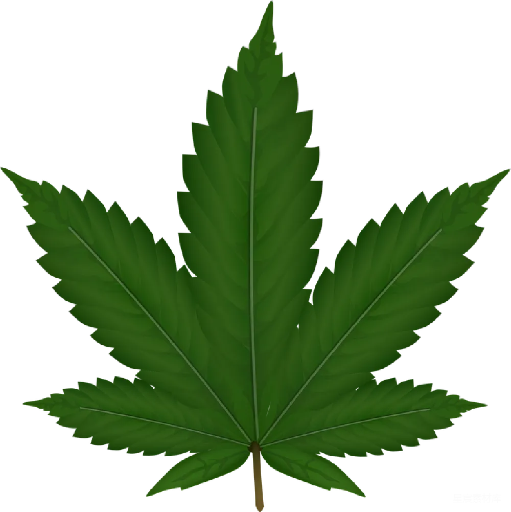 元素素材 大麻