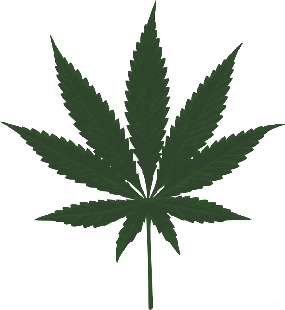 元素素材 大麻