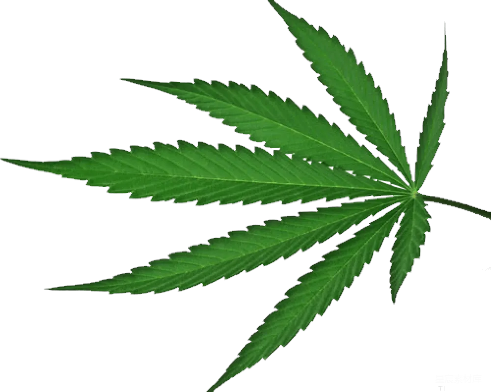 元素素材 元素 大麻