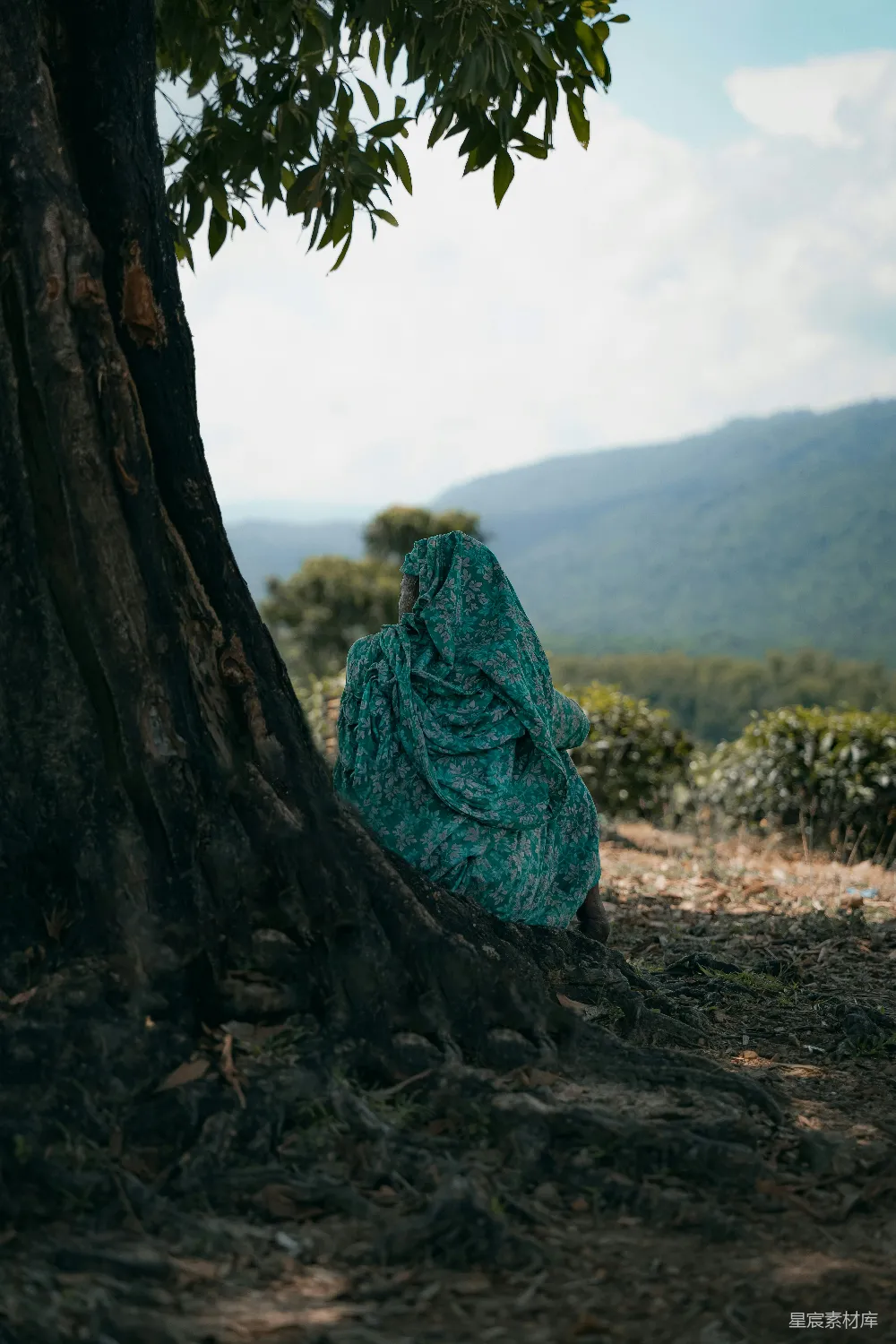 高清摄影 自然 风景 旅行 背影 户外 树下静思的旅人