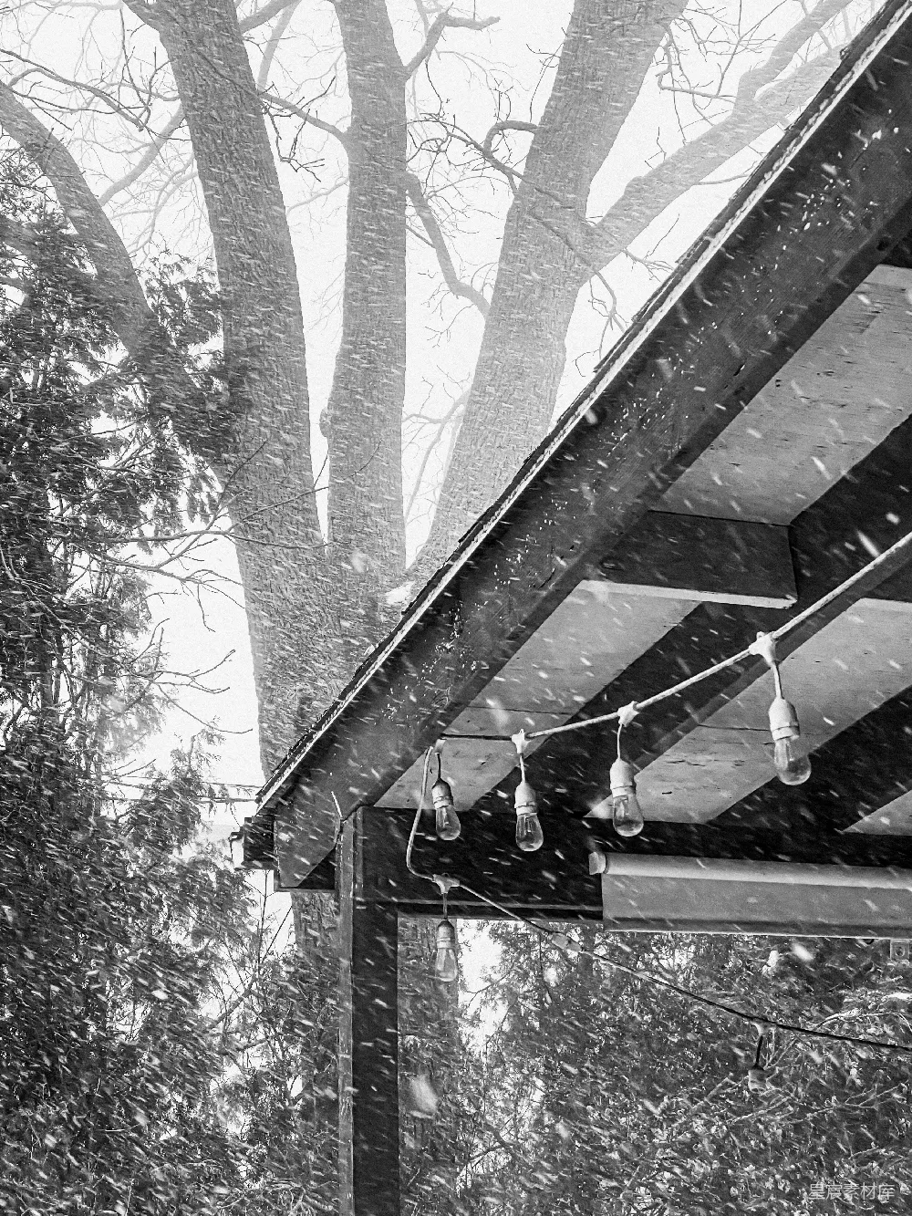 高清摄影 雪景 木制凉亭 冬季 自然风光 黑白摄影 冬日雪景下的木制凉亭
