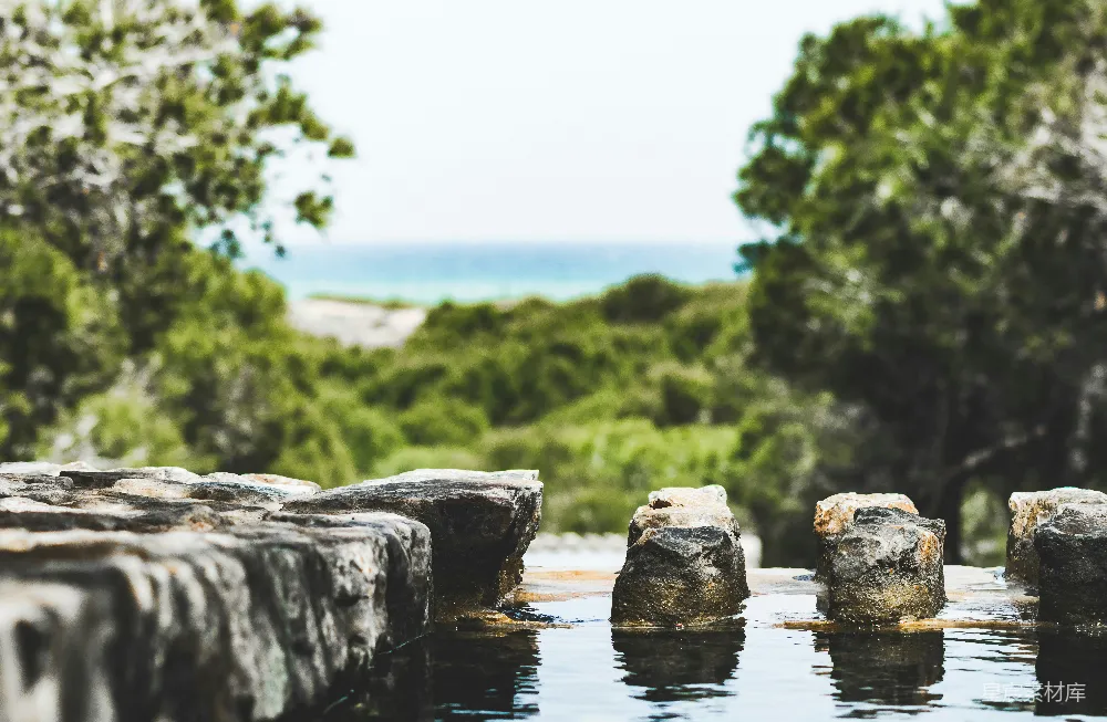高清摄影 自然风光 宁静 户外 石阶 绿色 静谧的石阶与自然景观