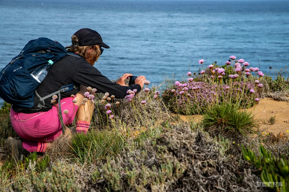 高清摄影 户外 自然摄影 徒步旅行 海洋风光 野生植物 海边自然探索者