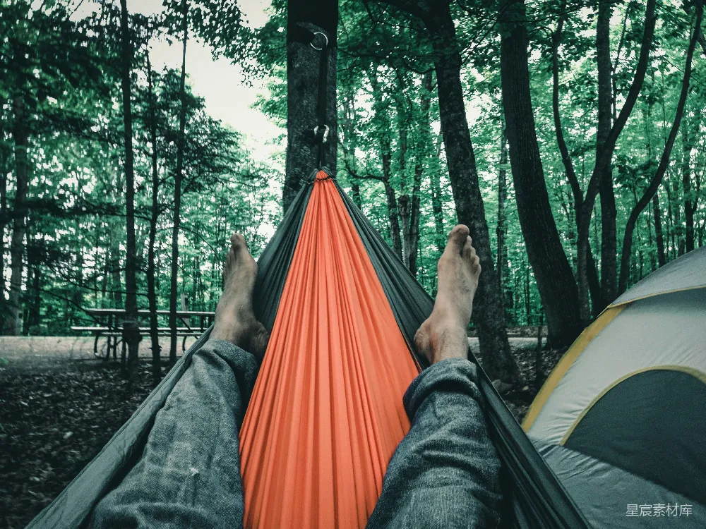 高清摄影 森林 吊床 宁静 户外 露营 森林中的悠闲时光