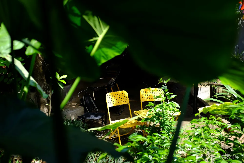 高清摄影 阳光 花园 休闲 自然 户外 阳光下的秘密花园