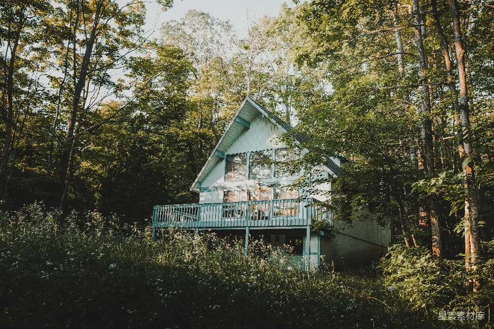 高清摄影 森林 小屋 自然 宁静 乡村 森林中的小屋