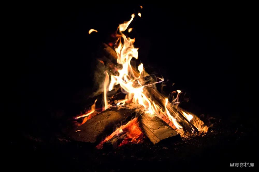 高清摄影 篝火 夜晚 温暖 自然 户外 夜幕下的篝火