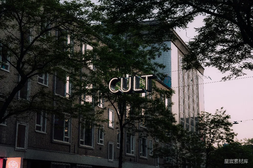 高清摄影 城市 霓虹灯 建筑 文化 艺术 城市中的霓虹艺术：CULT标志