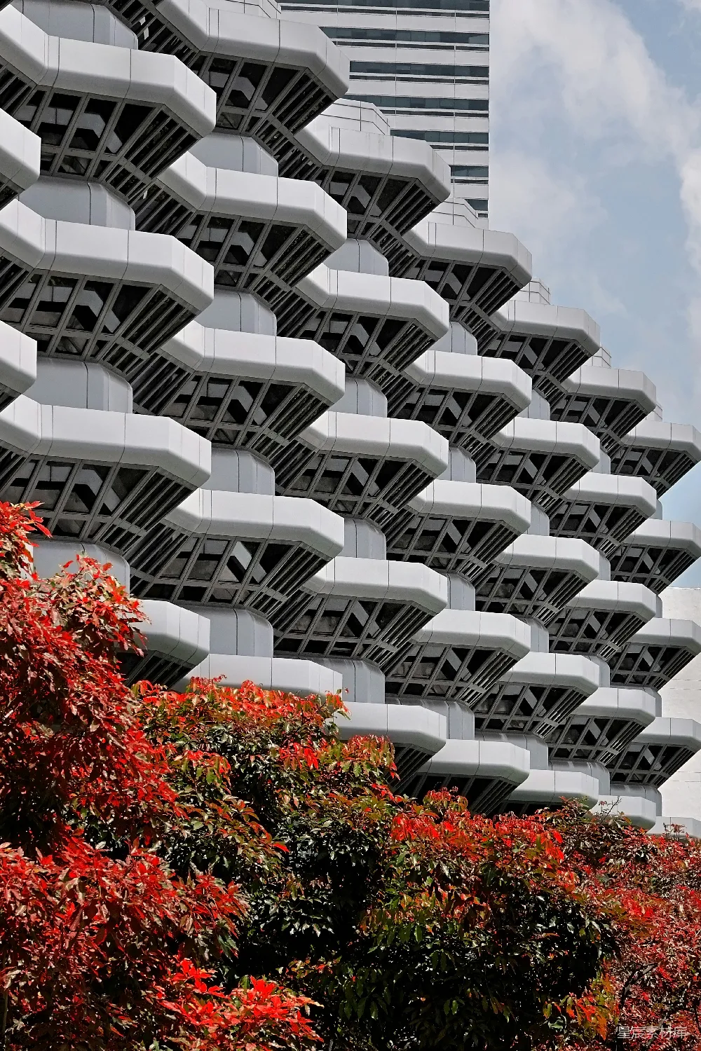 高清摄影 建筑艺术 现代设计 城市景观 自然与城市 秋季景色 现代建筑与秋色交相辉映