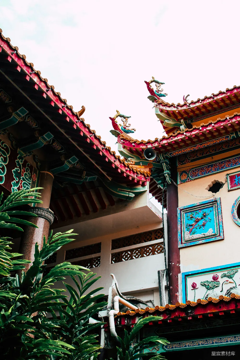高清摄影 传统建筑 中式风格 文化旅游 园林景观 艺术装饰 古典中式建筑与绿植的和谐之美