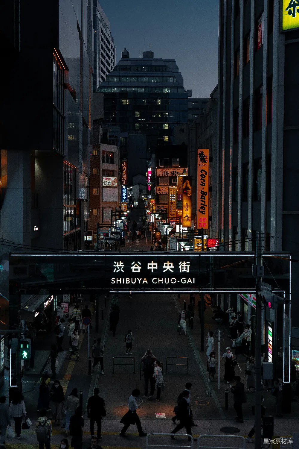 高清摄影 东京 夜景 城市 商业街 人潮 东京涩谷中央街夜景