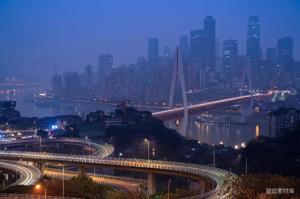 高清摄影 夜景 城市 桥梁 交通 现代 夜幕下的重庆大桥