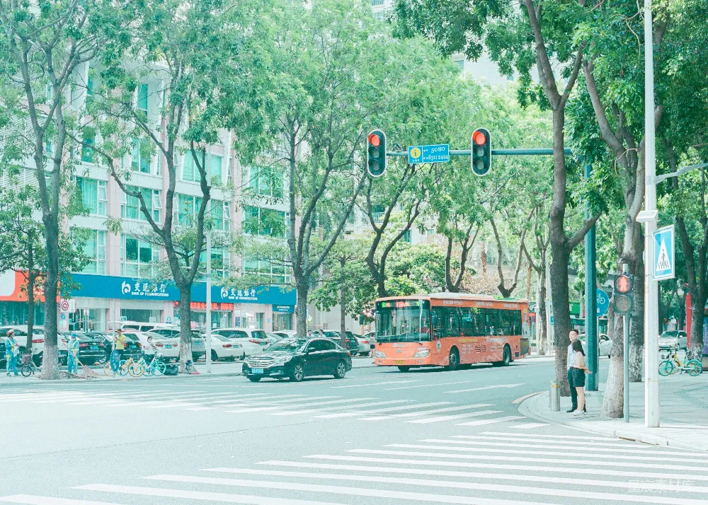 高清摄影 城市风光 交通 树木 公交站 日常 城市绿意盎然的街道场景