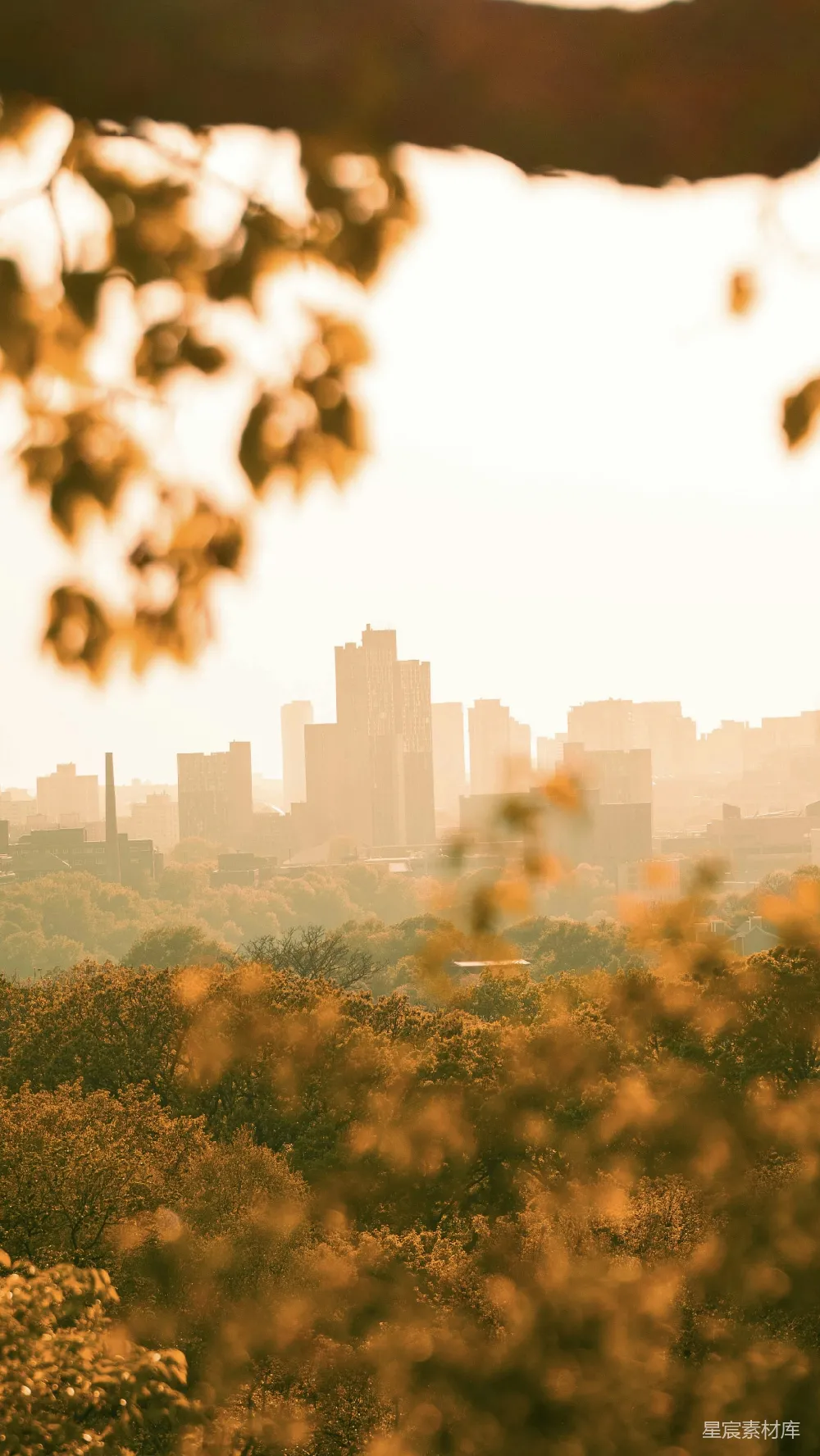 高清摄影 城市风光 自然景观 城市与森林 城市天际线 城市日落 城市与自然的交融