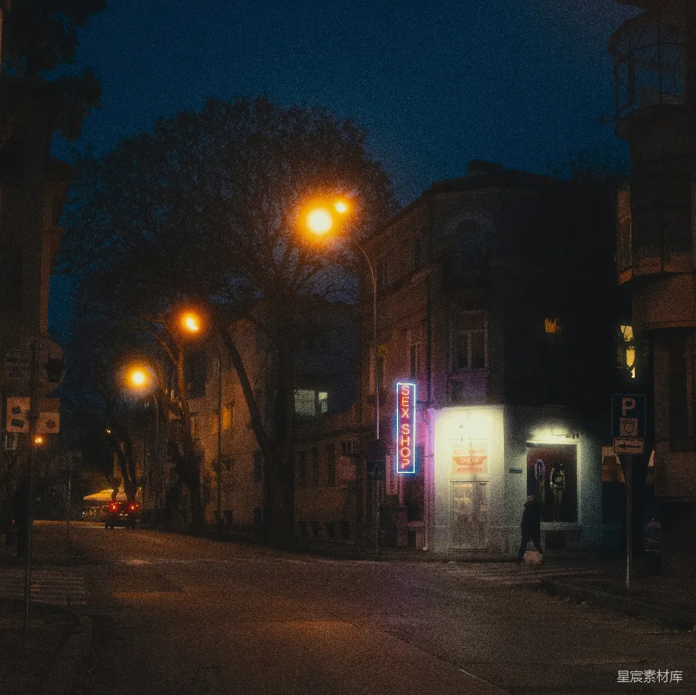 高清摄影 夜晚 霓虹灯 城市 街道 性用品店 夜色中的性用品店