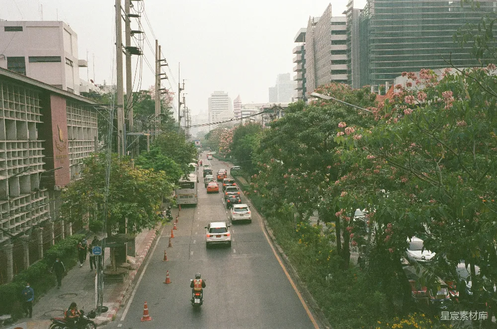 高清摄影 城市 街景 绿树 交通 都市 城市街景与绿树