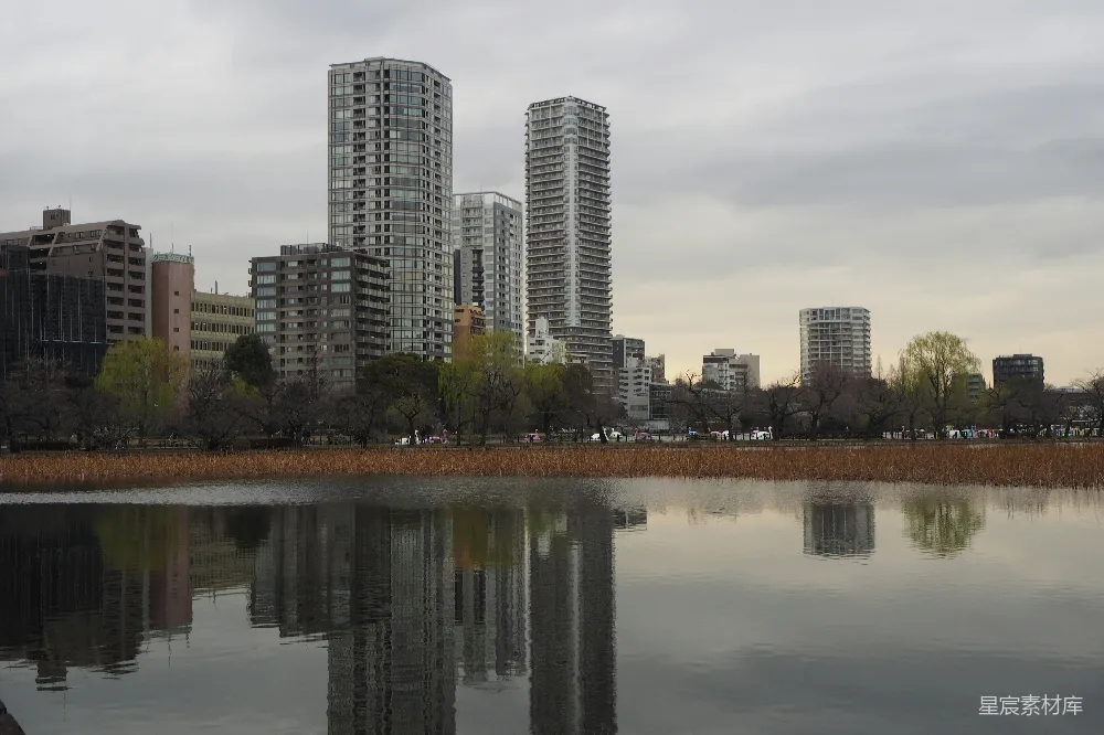 高清摄影 城市景观 建筑倒影 公园 自然与建筑 都市风景 都市与自然的和谐共存