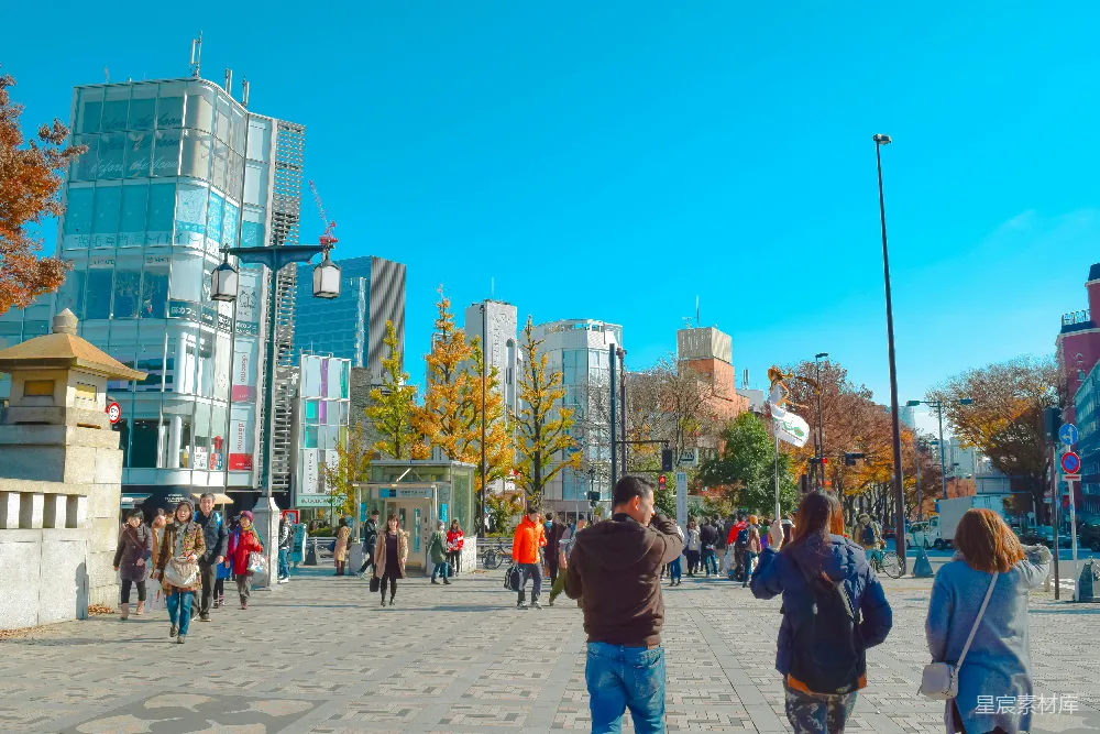 高清摄影 城市 阳光 秋景 休闲 户外 秋日阳光下的城市广场