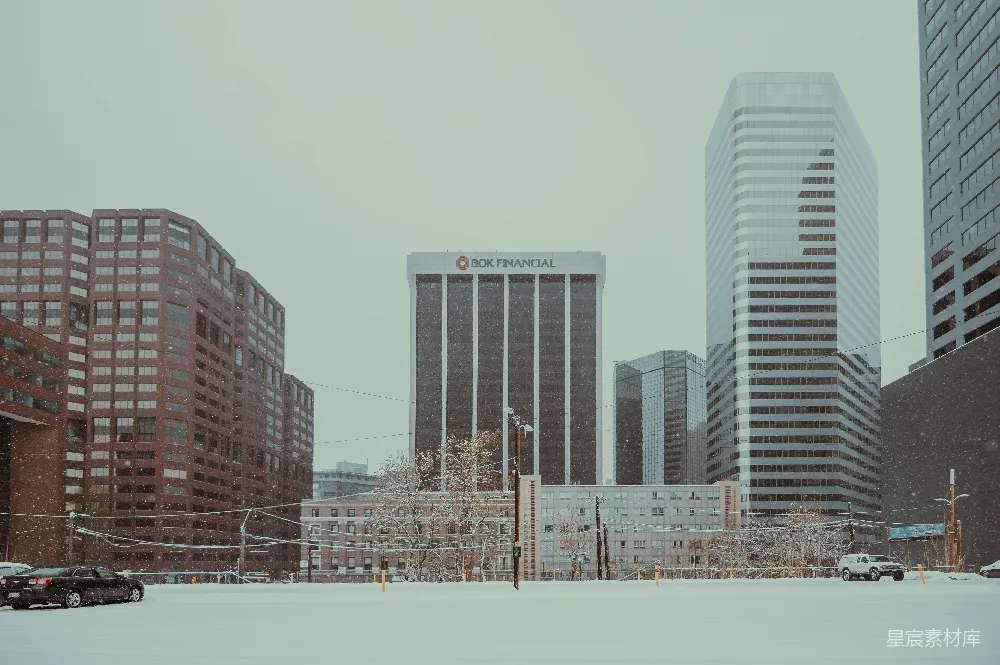 高清摄影 城市 雪景 建筑 冬季 城市风光 雪中的城市天际线