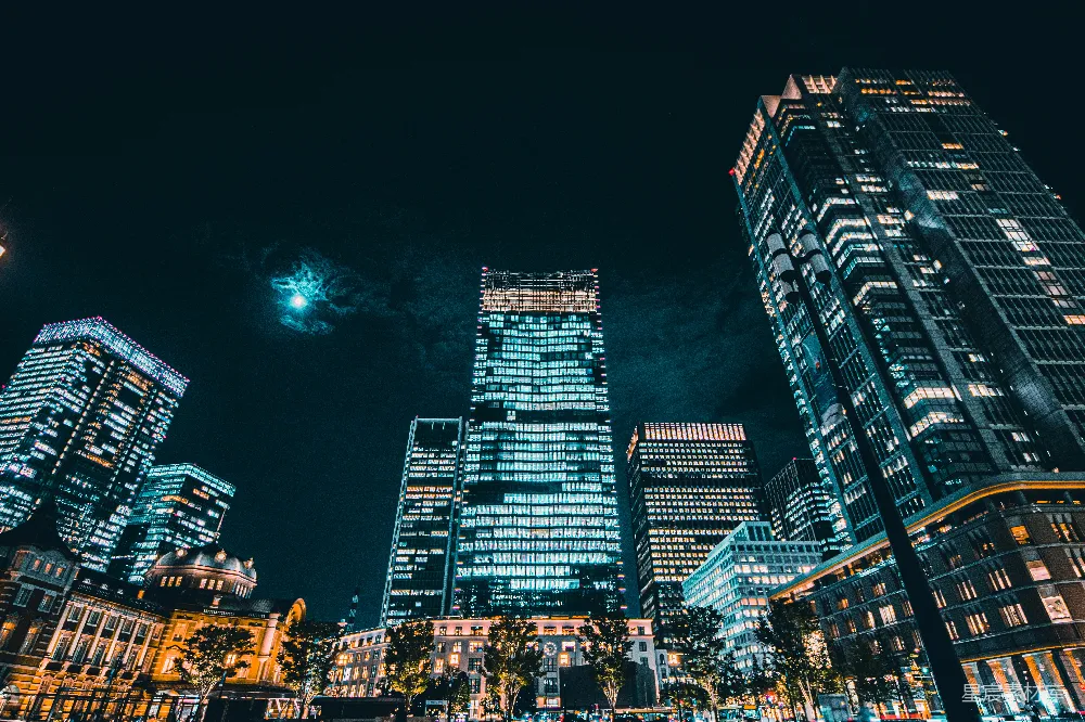 高清摄影 城市 夜景 建筑 都市 现代 夜幕下的摩天大楼