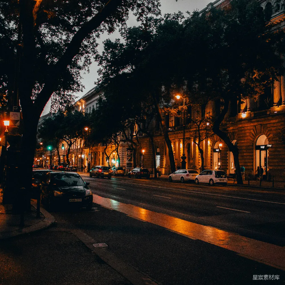 高清摄影 城市 夜晚 街道 建筑 灯光 夜晚的城市街道