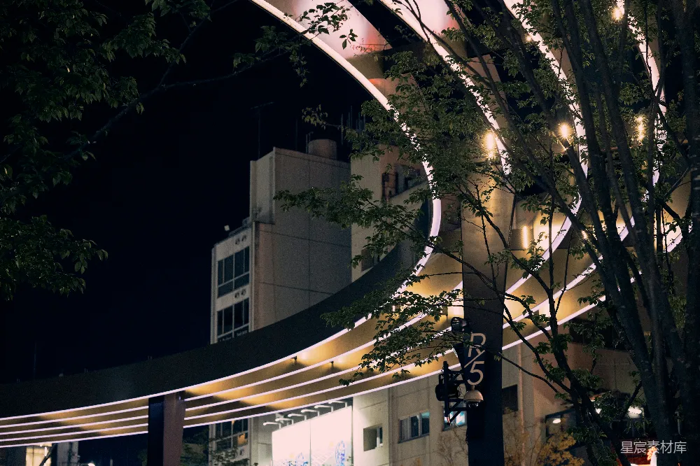 高清摄影 夜晚 建筑 灯光 树木 城市 夜晚灯火通明的建筑与树木
