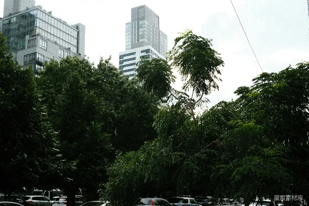 高清摄影 城市 公园 自然 建筑 宁静 城市中的绿荫