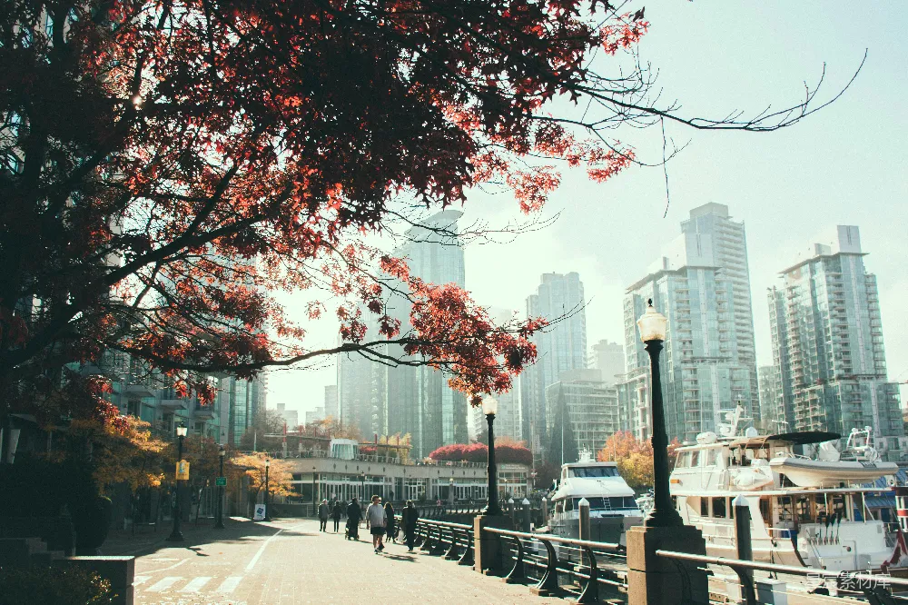 高清摄影 秋天 城市 河畔 建筑 自然 秋日的城市河畔