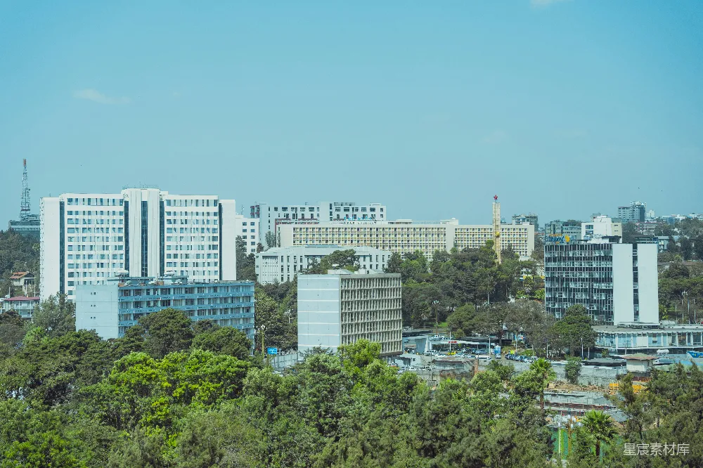 高清摄影 城市景观 建筑群 自然环境 城市风貌 绿色都市 城市天际线与绿树成荫