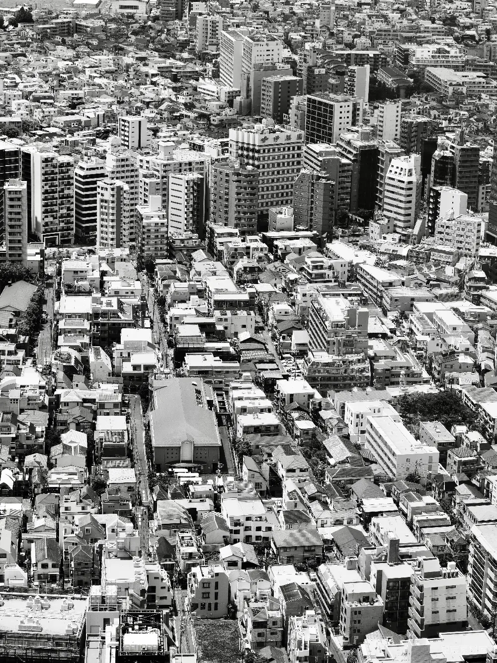 高清摄影 城市 黑白 俯瞰 建筑 都市 黑白城市俯瞰