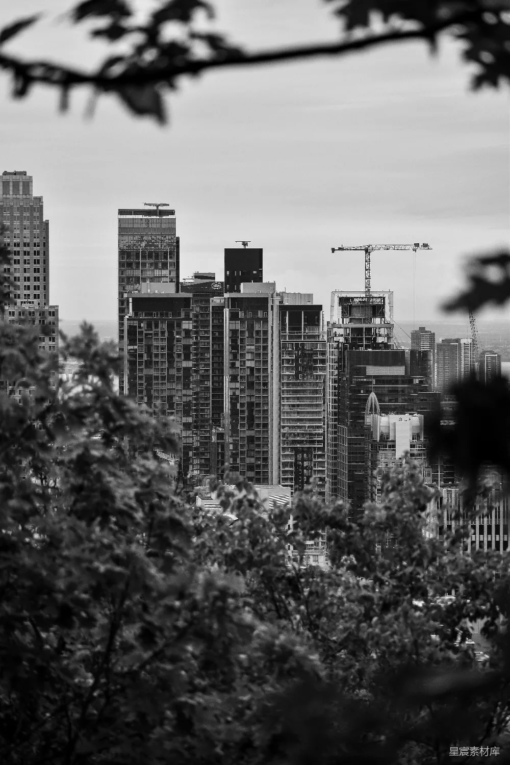 高清摄影 城市景观 黑白摄影 自然与建筑 都市生活 风景摄影 城市天际线与自然的和谐共存