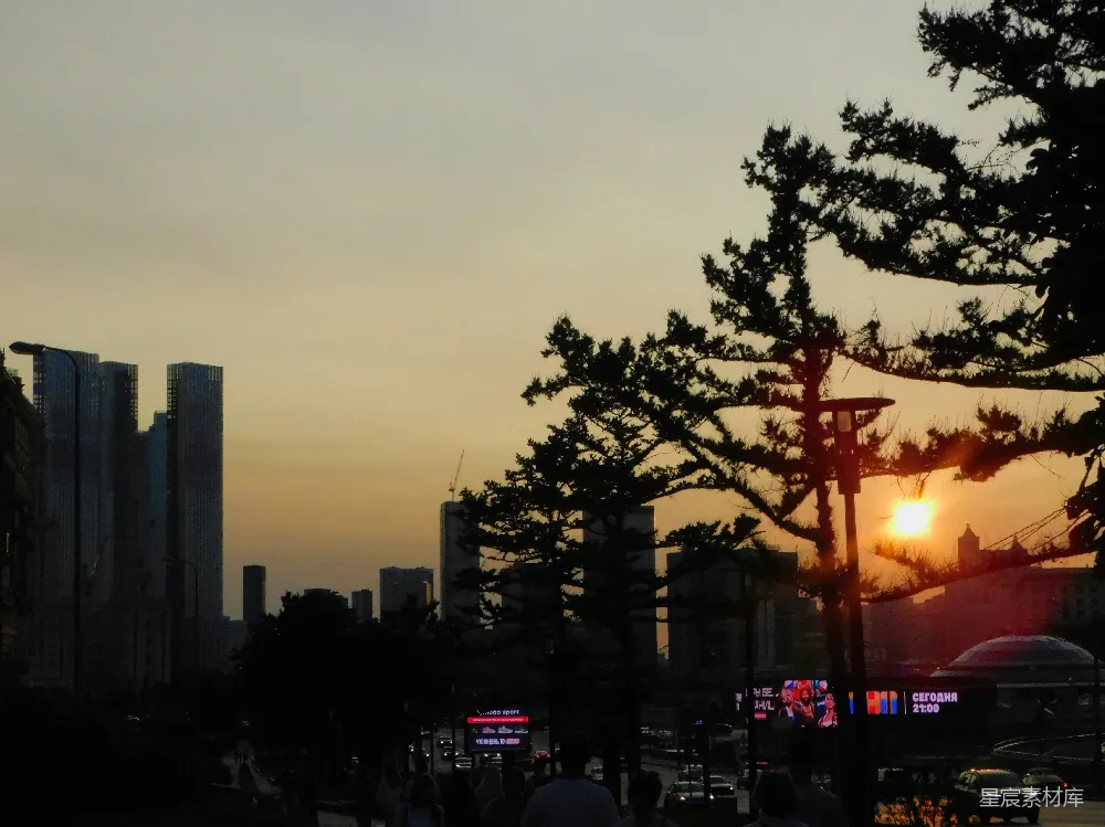 高清摄影 城市 日落 树木 剪影 都市 城市日落剪影