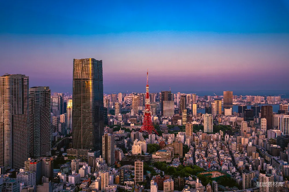 高清摄影 东京 城市 建筑 夕阳 旅游 东京塔夕阳下的城市景观