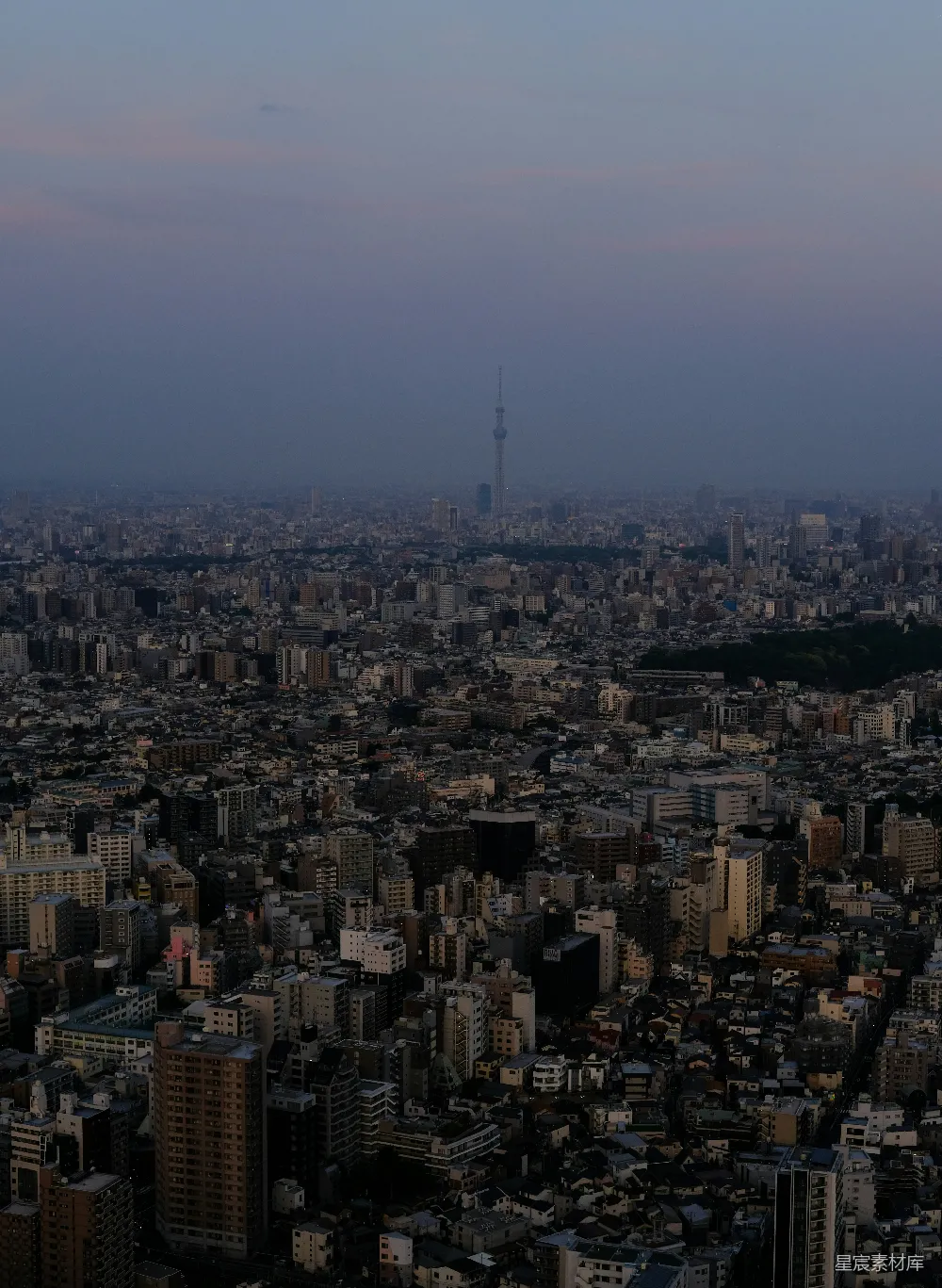 高清摄影 东京 黄昏 城市景观 都市 天际线 东京黄昏视角