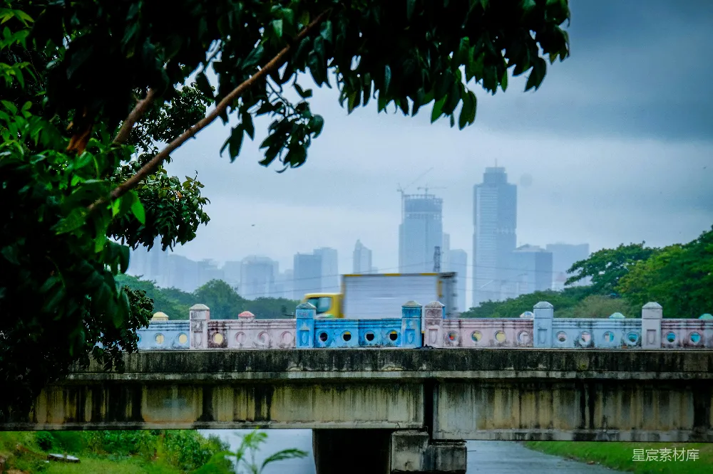高清摄影 城市 桥梁 树木 雨景 现代 雨后的城市风光