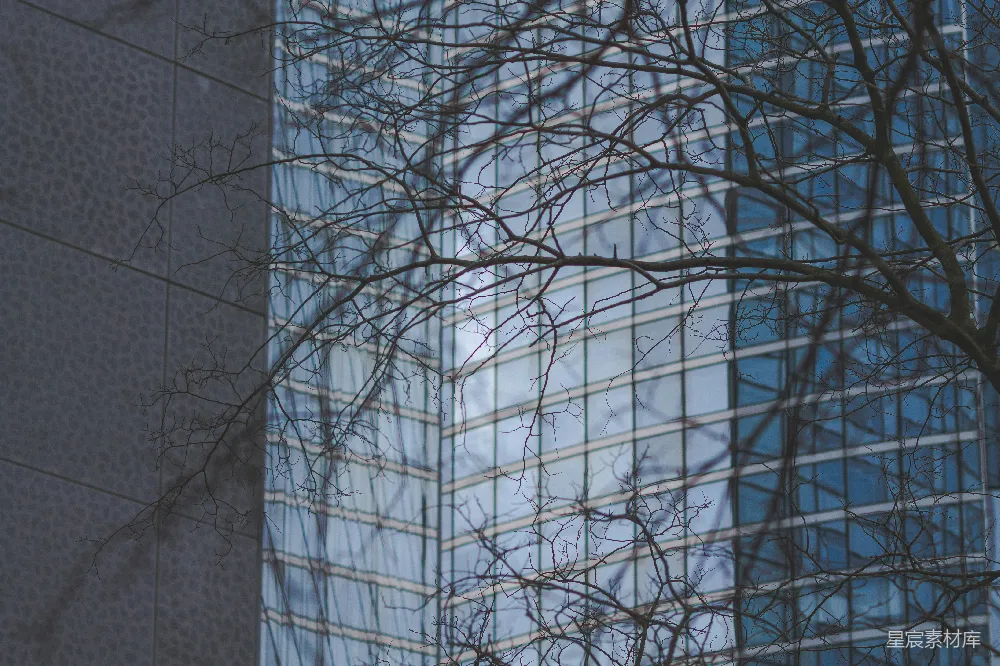 高清摄影 现代建筑 自然元素 都市风景 建筑与树 城市美学 现代都市的自然与建筑