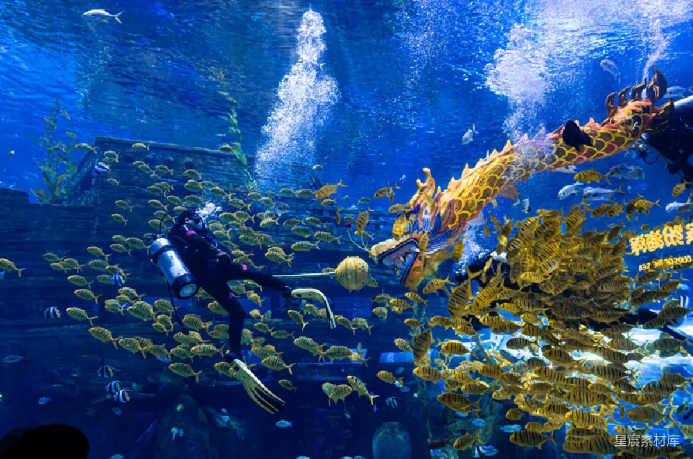 元素素材 水下摄影 龙雕塑 潜水 海洋生物 表演艺术 水下龙雕表演：潜水员与金色龙雕塑的梦幻邂逅