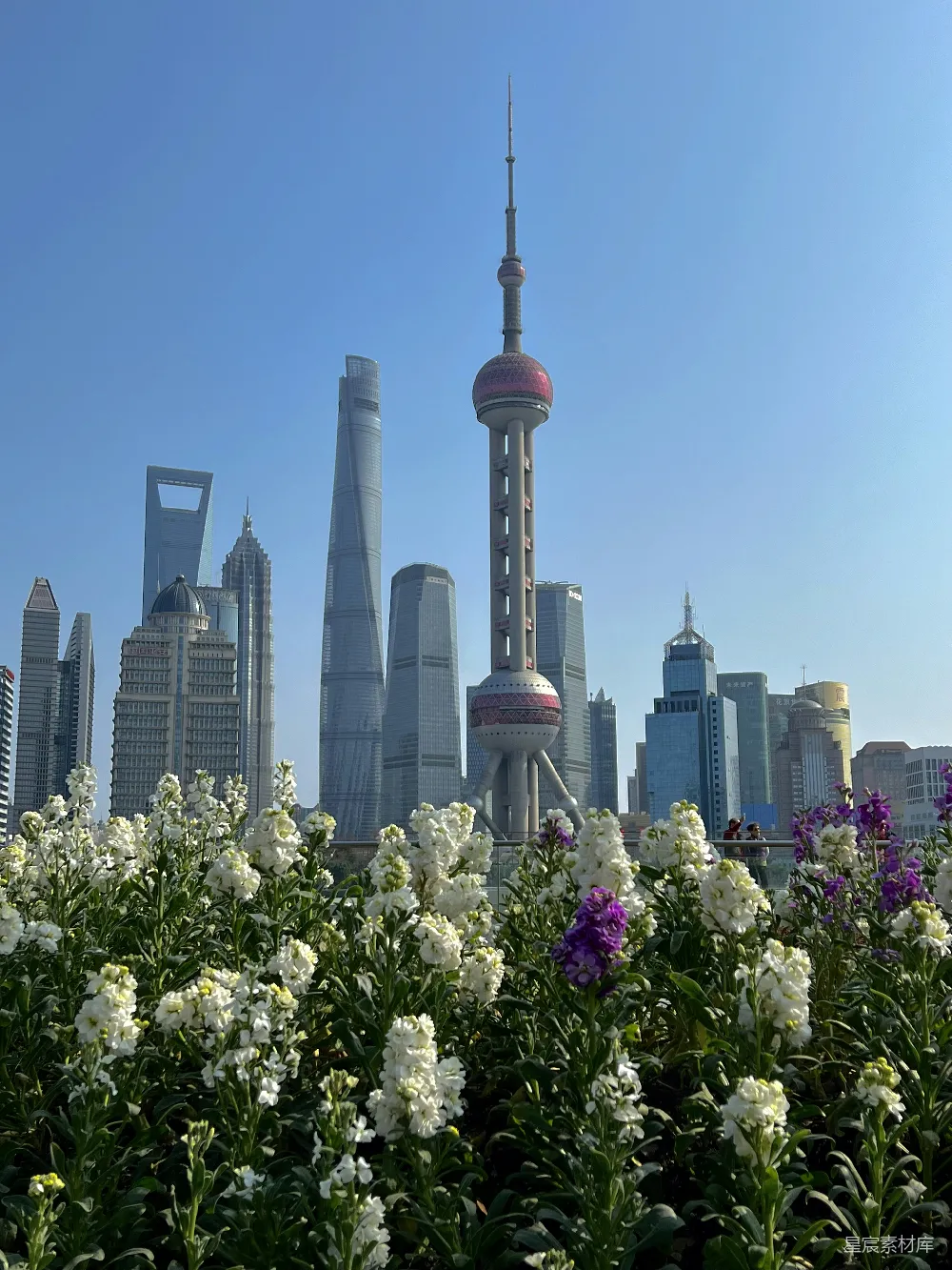 高清摄影 上海 陆家嘴 天际线 现代建筑 城市风光 上海陆家嘴天际线与鲜花